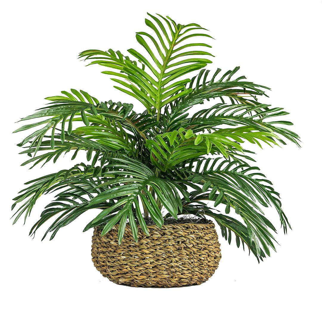Artificial Plant, 14" Artificial Phoenix Palm in Low Round Handwoven Basket by LCG Florals, Faux Designer Fake Indoor Tabletop Plant for Living Room, Office, and Home Décor